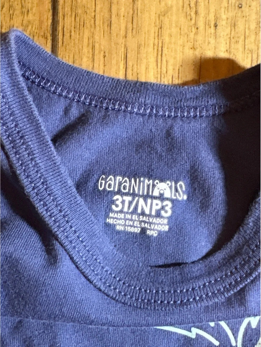Garanimals Boys Tank Top Bundle – Size 3T (2-Pack)